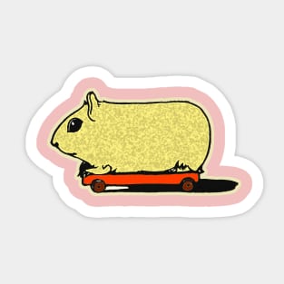 Guinea Pig children's toy Sticker